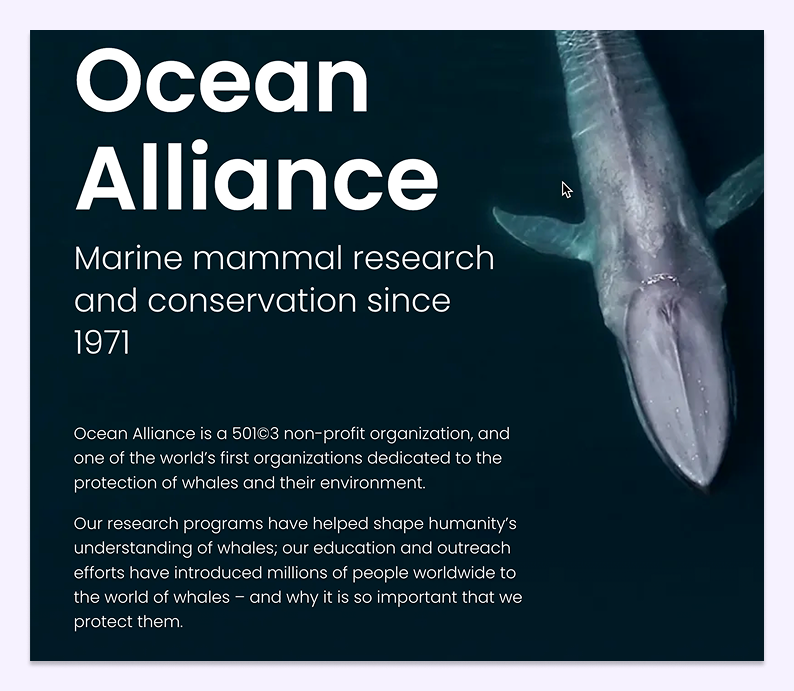 Screenshot from the Ocean Alliance website of text that says “Ocean Alliance is a 501©3 non-profit organization, and one of the world’s first organizations dedicated to the protection of whales and their environment.Our research programs have helped shape humanity’s understanding of whales; our education and outreach efforts have introduced millions of people worldwide to the world of whales – and why it is so important that we protect them.”